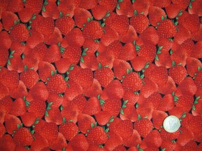 Fhrgeschirr Klassik Erdbeeren