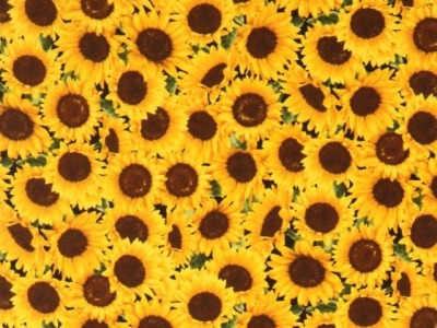 Sicherheitsgeschirr Sonnenblumen