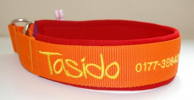 Halsband Gurtband orange