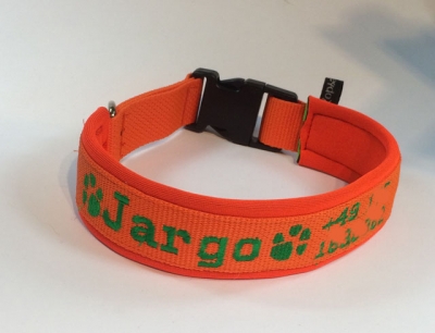 Halsband Gurtband orange