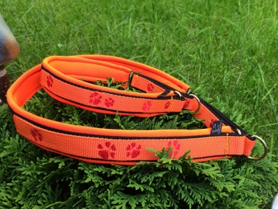 Halsband Gurtband orange