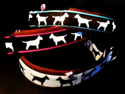 Halsband Bullterrier-Borte w