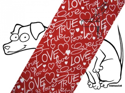Norweger True Love