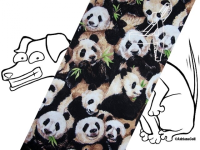 Norweger Pandas
