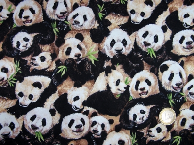 Norweger Pandas