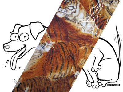 Norweger Tiger