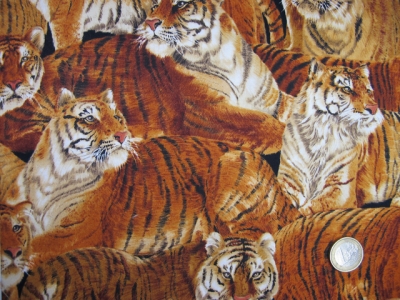 Norweger Tiger
