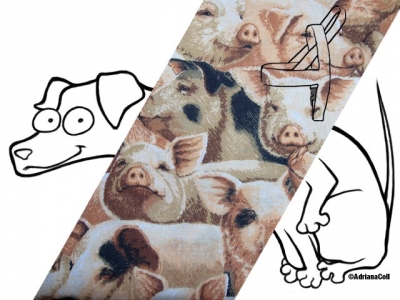 Norweger Schweinchen