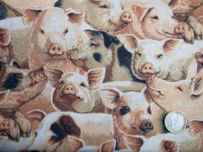Norweger Schweinchen