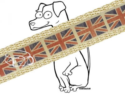 Halsband Union Jack