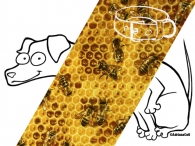 Halsband Bees