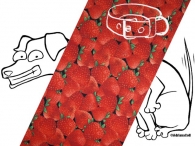 Halsband Erdbeeren